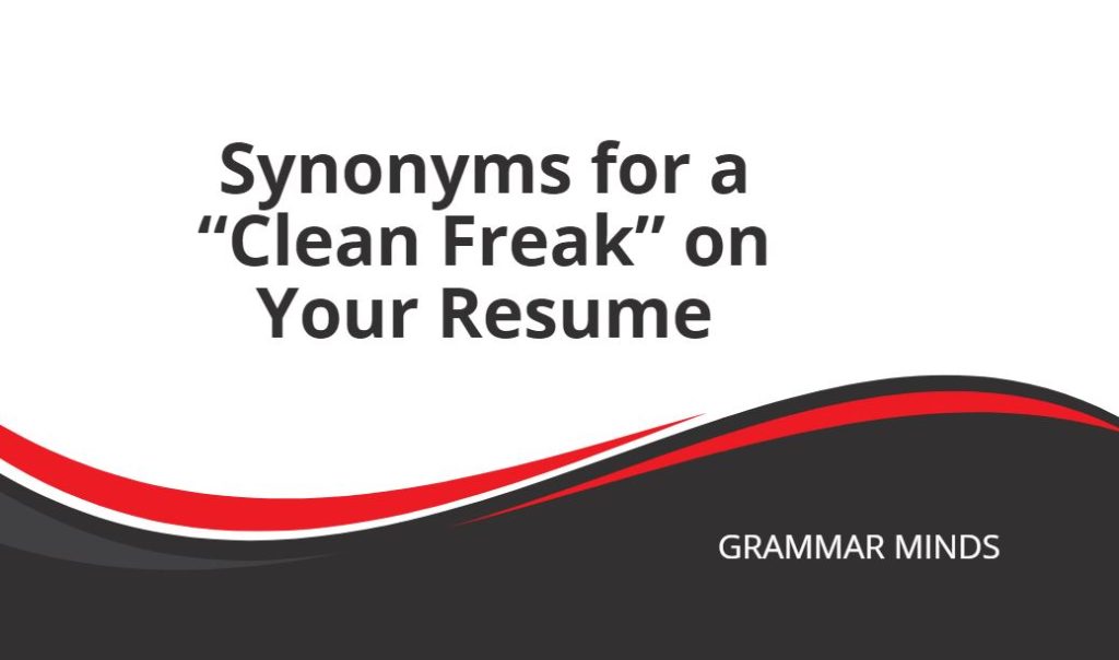 synonyms for clean freak