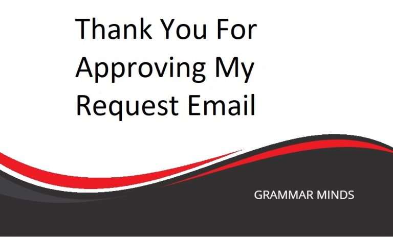 Best Alternatives to “Thank You for Approving My Request Email”