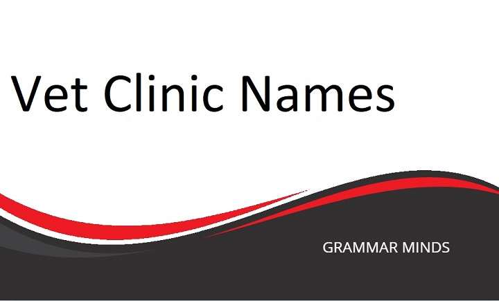 How to Choose the Best Vet Clinic Names: A Comprehensive Guide