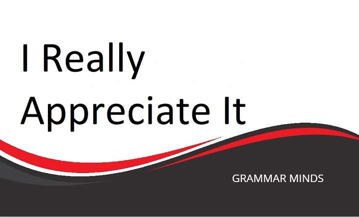 Top 10 Alternatives to Say “I Really Appreciate It”