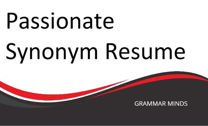 Best Synonyms for “Passionate” on Your Resume